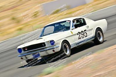 media/May-10-2025-Cobra Club (Sat) [[7b9c5022b1]]/White Group/Session 2 (Turn 3)/